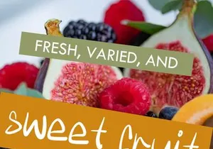 ALOJHA – Modern Casual Handwritten Font - (OTF)