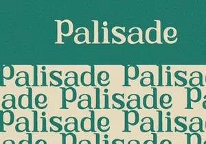 Calliope - Serif Font