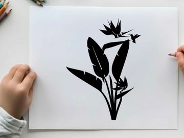 Bird of paradise flower silhouette with hummingbird preview picture