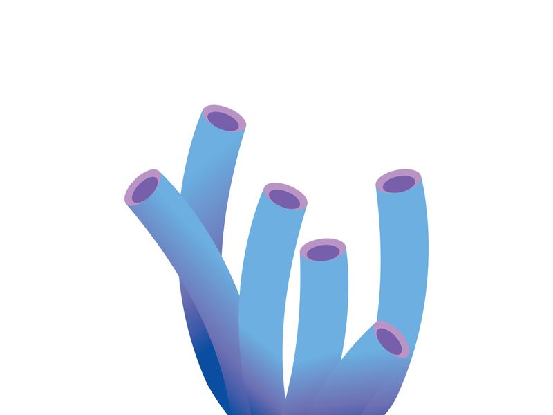 Corals icon logo design and symbol illustration vector