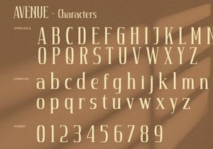 Avenue - Serif Font