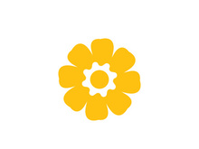 flower vector icon design template