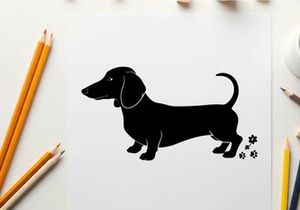 Black silhouette of a dachshund dog standing still