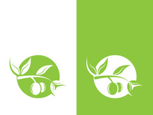 olive icon vector illustration design template