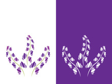 Fresh lavender flower logo vector flat design