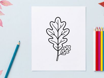 Desenho de linha simples de uma folha de carvalho. Ilustração botânica minimalista para temas naturais.