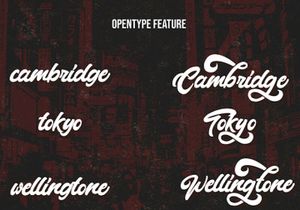 Montages - Retro Bold Script Font
