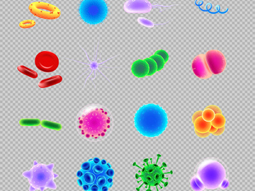 Bacteria and virus realistic vector icons set preview picture