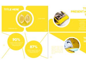 Shin Presentation Template
