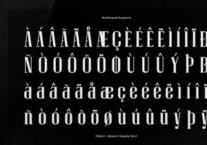 Rabiot | Modern Display Serif