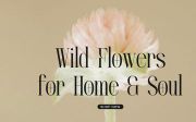 Lequano | New Display Serif