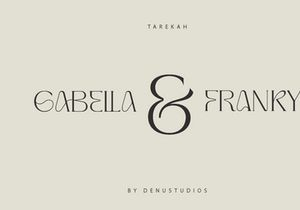Tarekah | Modern Serif Font
