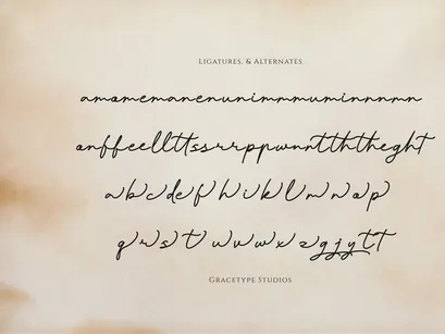 Pafilona | Monoline Script