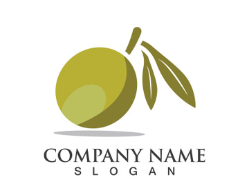 Extra virgin olive oil logo icon design vector illustration preview picture
