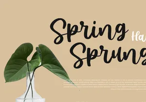 Sunshine - Script Font