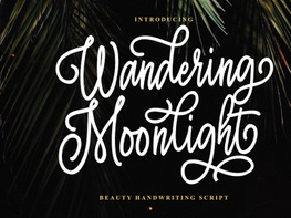 Wandering Moonlight preview picture