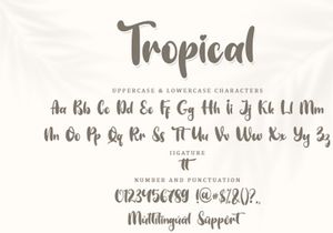 Tropical Display