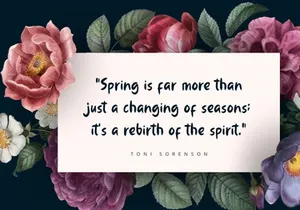 Vibrancy - Display Font