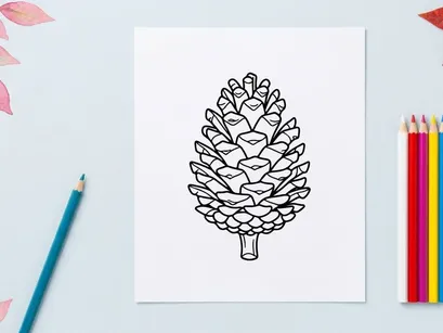 Close-up of a pine cone on a white background. Natural botanical detail for nature or craft themes.