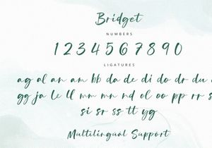 Bridget - Modern Script Font