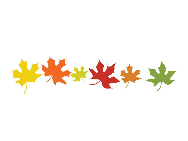 Maple Leaf design illustration