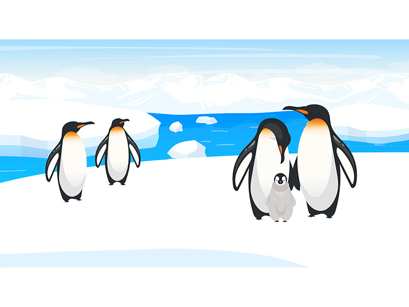 South pole wildlife flat vector illustration