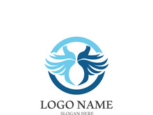 Dove bird logo vector design illustration