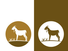 Goat logo template vector icon illustration design