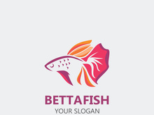 Betta fish modern logo style design vector image illustration