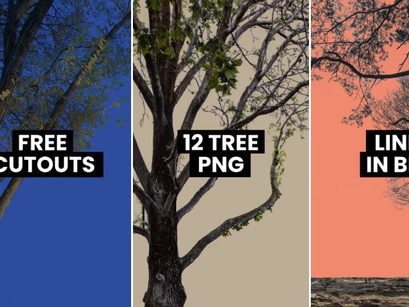 12 Tree PNG Cut Outs [FREE DOWNLOAD]