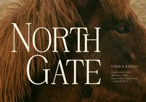 Rinovich | Display Serif Font