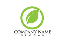 Green leaf logo Vector