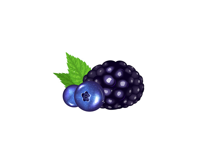 Forest berries, organic dessert realistic vector illustration