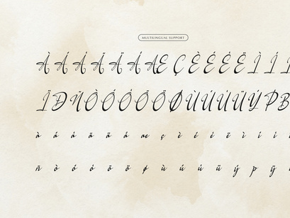 Logically Signature | Elegant Signature