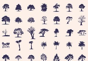 Silhouettes Trees Set, Pine Tree fir pruce cedar white patch alder elm birch ash cypress beech palm tree.