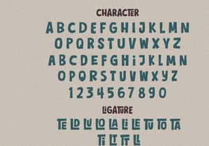 Chill Chirp - Display Font