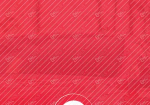 Renticar Sign in/Sign up Via OTP