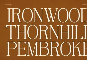 Rinovich | Display Serif Font