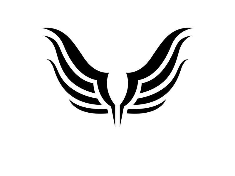 Black wing falcon bird logo