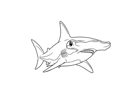 Shark attack flat design vector illustration scalable art