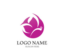 Butterfly logo icon vector design illustration