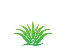 Aloe Vera logo icon design symbol beauty skin care