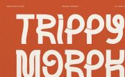 Trippy Morph | Decorative Font