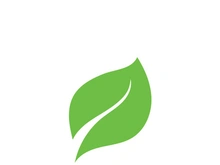 leaf logo green ecology nature element vector image