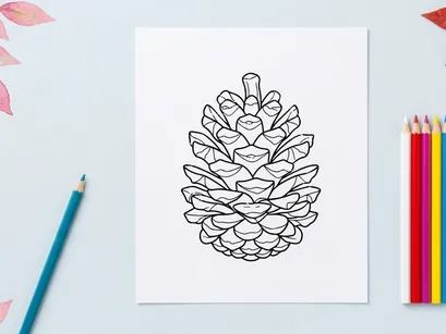 Close-up of a pine cone. Natural botanical detail for nature themes.