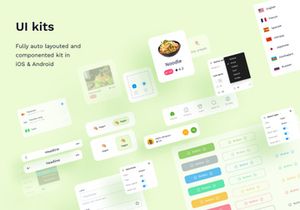 Robin Food - Food Delivery Mobile UI Kits