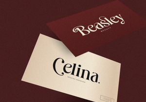 Costa Nova || Modern Ligature serif