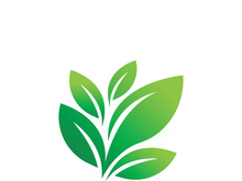 Logos of green tree leaf ecology nature element vector
