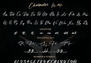Rantting Tjinta - Stylish Script Font