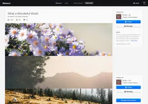 Behance GUI - free sketch template